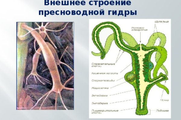 Кракен даркнет ссылка